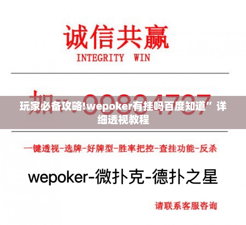 玩家必备攻略!wepoker有挂吗百度知道”详细透视教程