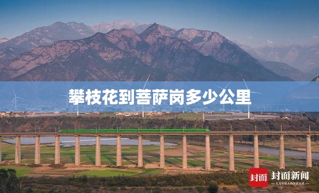 攀枝花到菩萨岗多少公里