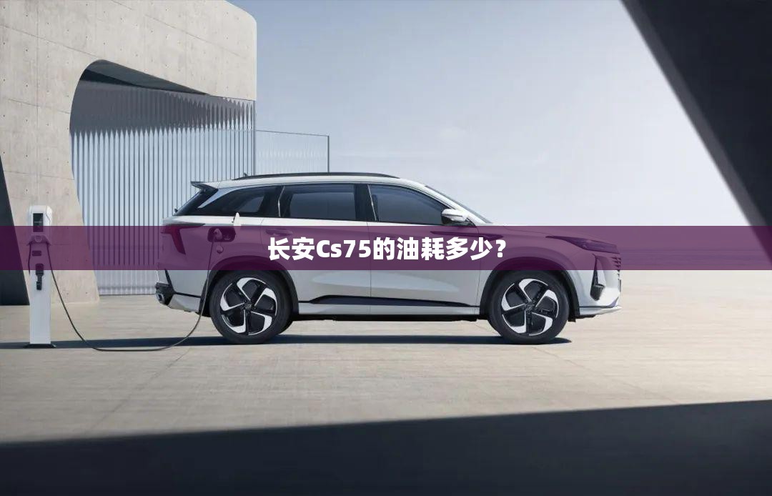 福州宝马z4二手车报价（福州宝马z4二手车报价及图片）