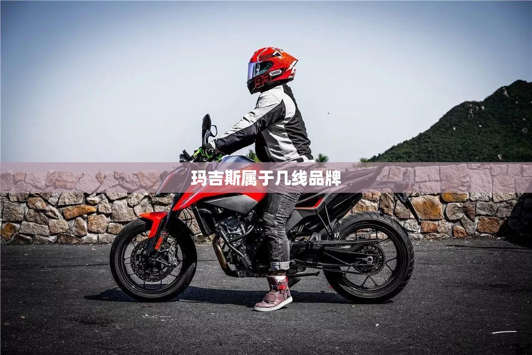 玛吉斯属于几线品牌 玛吉斯属于几线品牌
