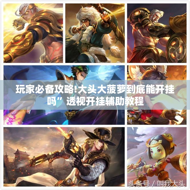 玩家必备攻略!大头大菠萝到底能开挂吗”透视开挂辅助教程