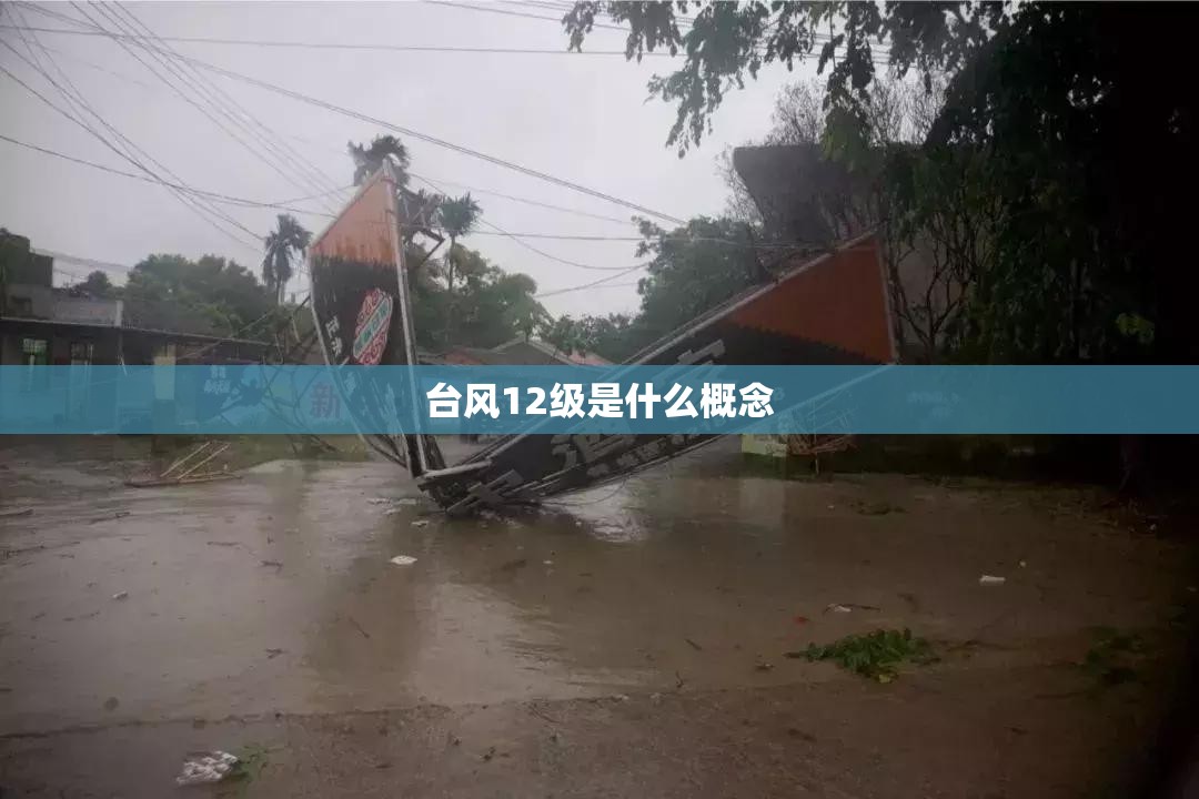 玩家辅助神器:乐逍遥跑胡子可以开挂吗!辅助神器插件下载