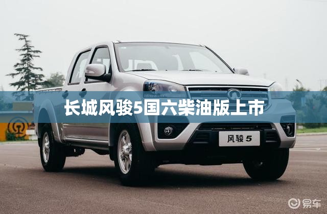 长城风骏5国六柴油版上市