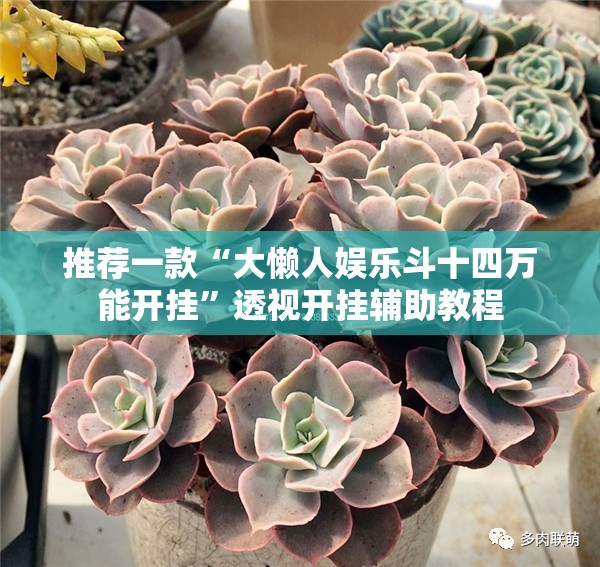 天气预报准不准？