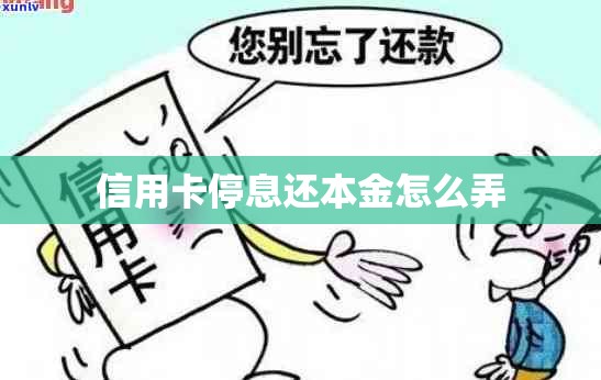 信用卡停息还本金怎么弄 信用卡停息还本金怎么弄