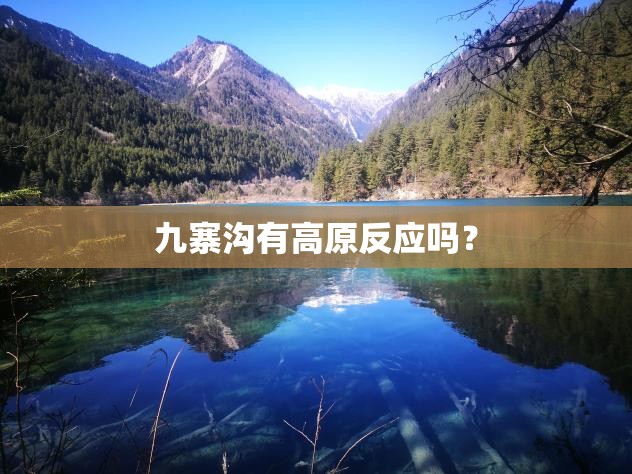 泰安看守所在省庄还是满庄