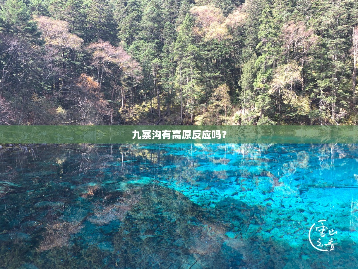 九寨沟有高原反应吗? 九寨沟有高原反应吗?