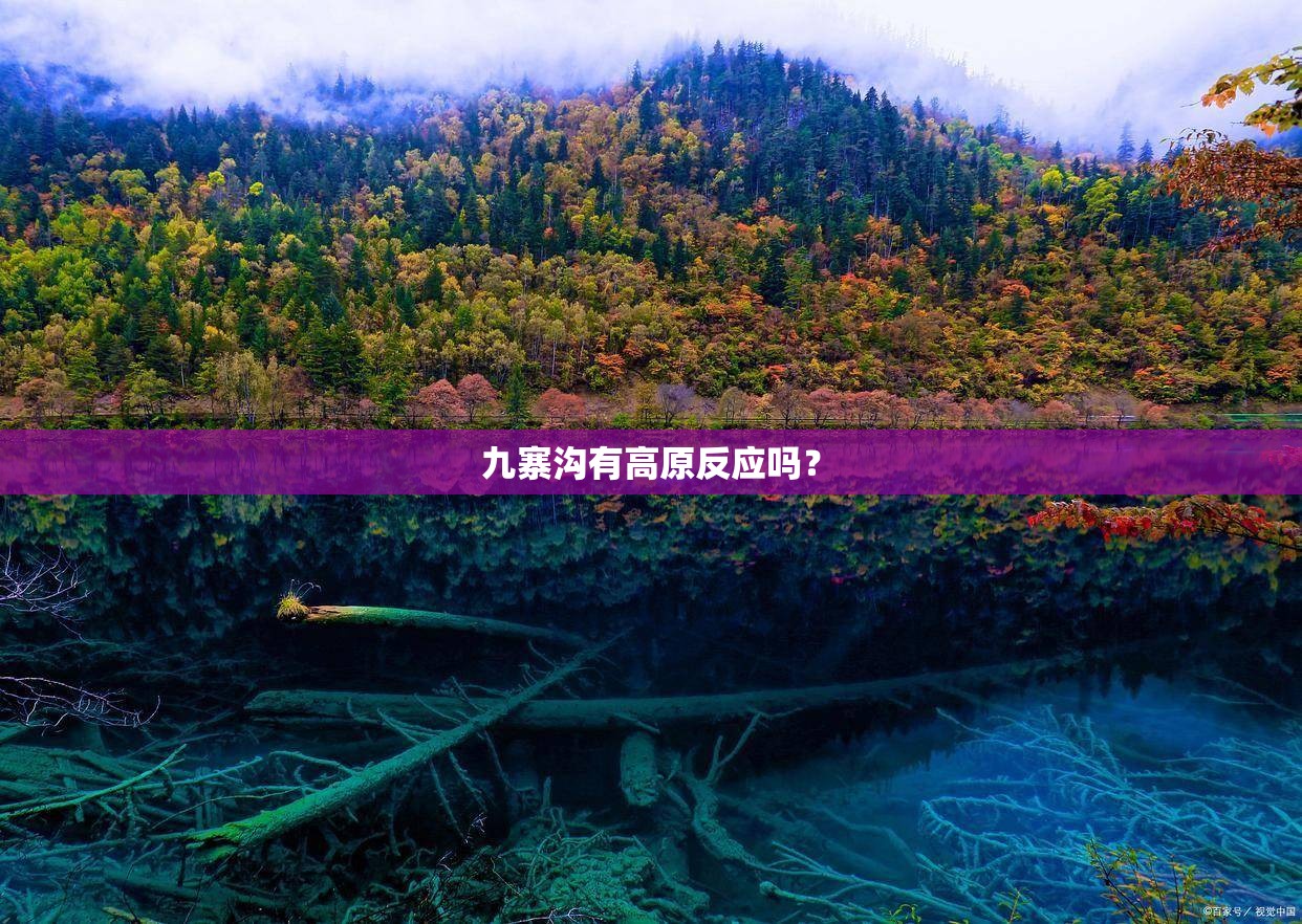 九寨沟有高原反应吗? 九寨沟有高原反应吗?