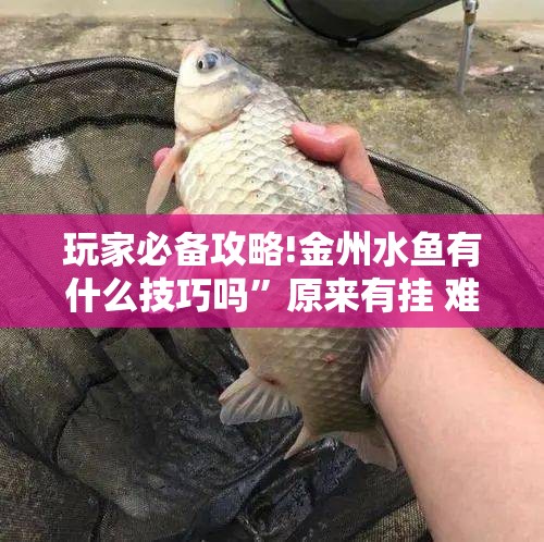 玩家辅助神器“快玩炸翻天辅助器!最新火爆必备系统