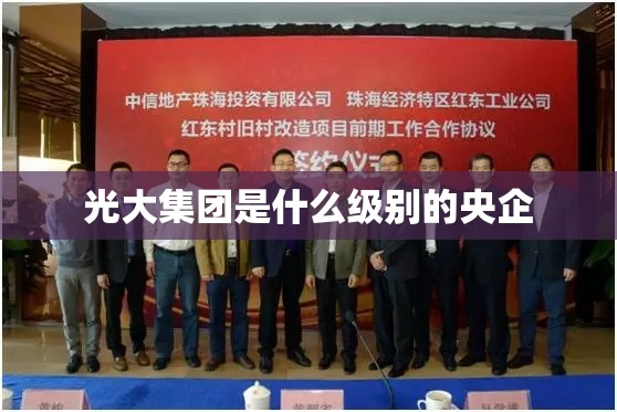 光大集团是什么级别的央企