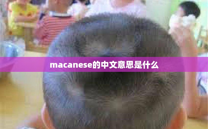 macanese的中文意思是什么