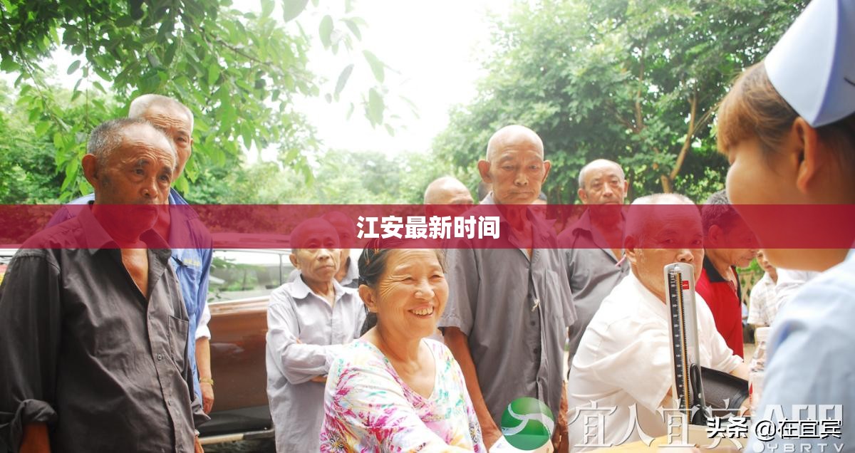 雷诺汽车renault是什么车