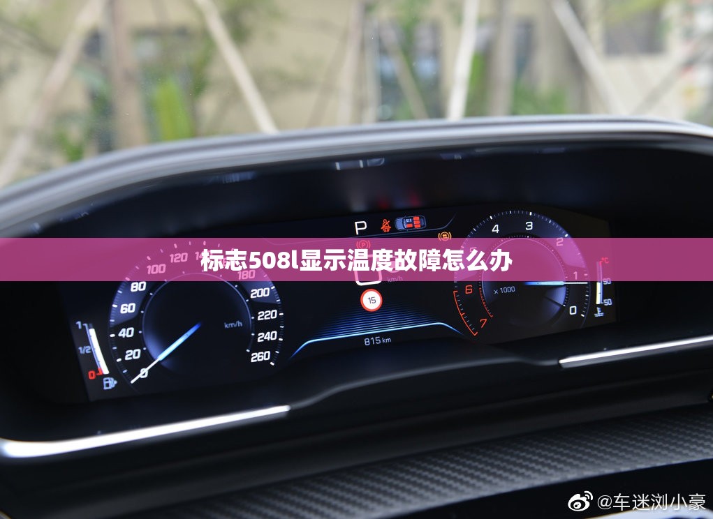 辅助科普实测“大头大菠萝有挂嘛-最新辅助详细教程