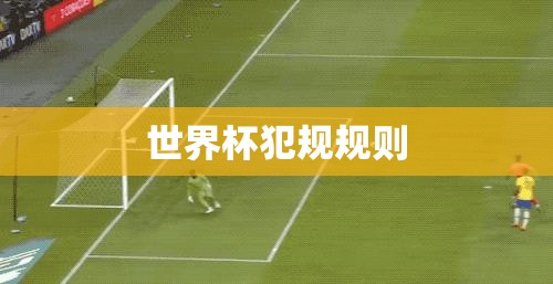 世界杯犯规规则 世界杯犯规规则