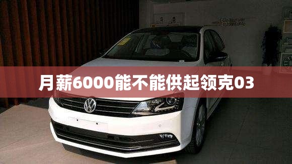 月薪6000能不能供起领克03