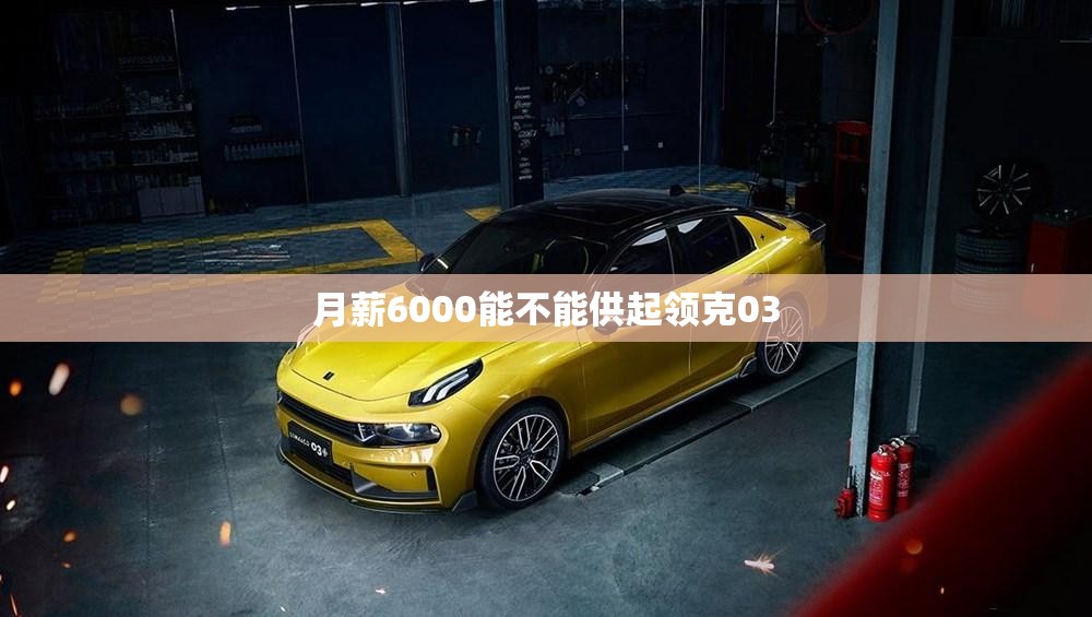 月薪6000能不能供起领克03