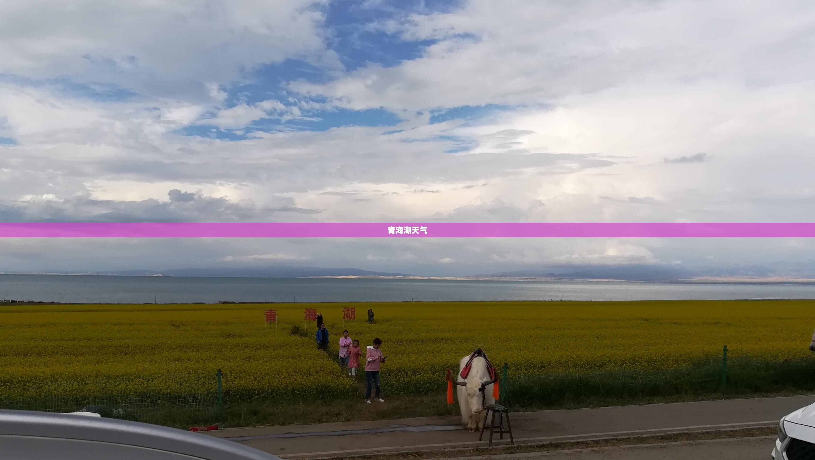 雕刻机是干什么用的/雕刻机干啥的