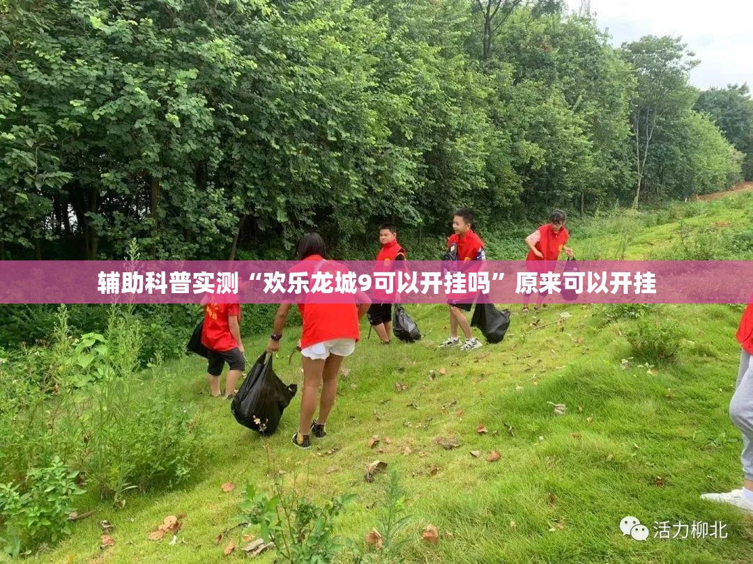 辅助科普实测“欢乐龙城9可以开挂吗	”原来可以开挂