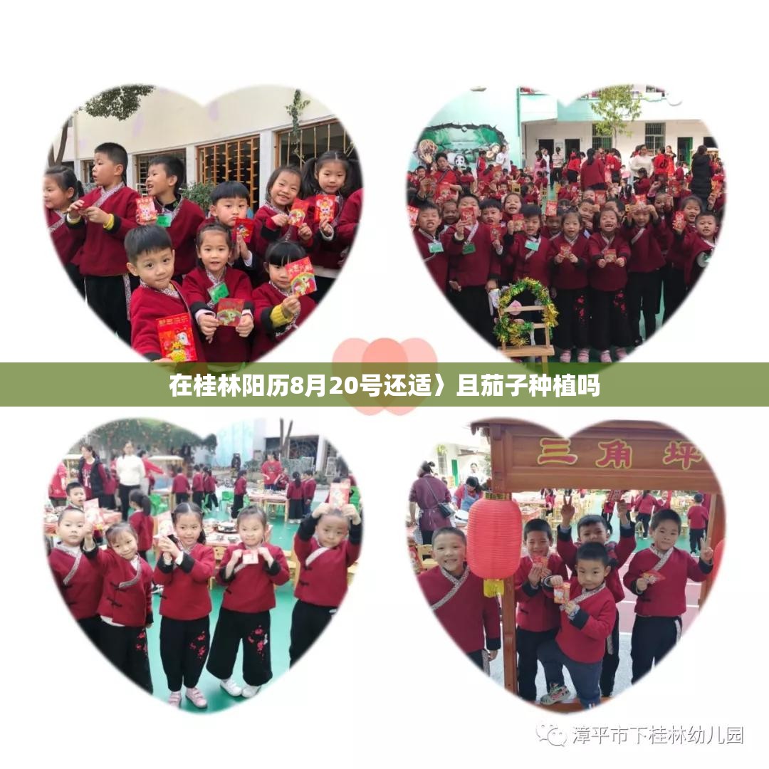 在桂林阳历8月20号还适〉且茄子种植吗