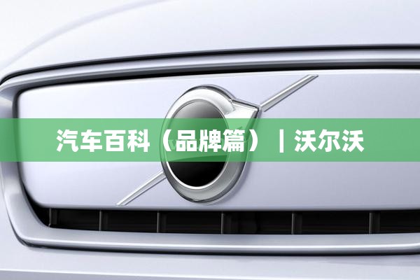 安装程序教程“大胜跑得快十三张可以开挂吗”详细分享装挂步骤