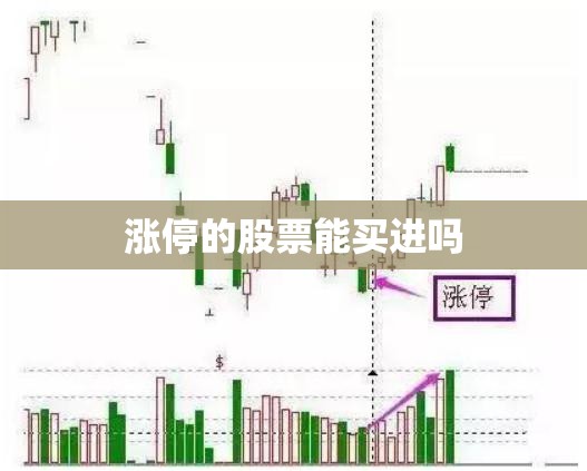 中央新闻联播今天19:00,中央新闻联播今天1900天气预报