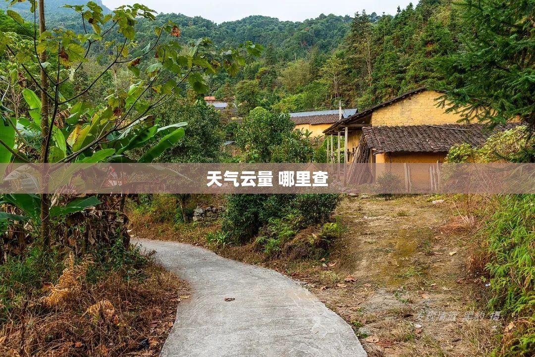 天气云量 哪里查