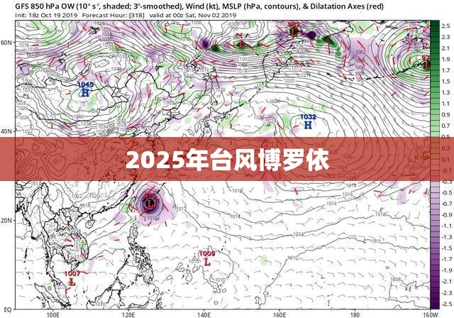 2025年台风博罗依