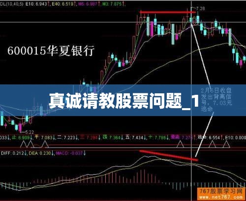 真诚请教股票问题_1