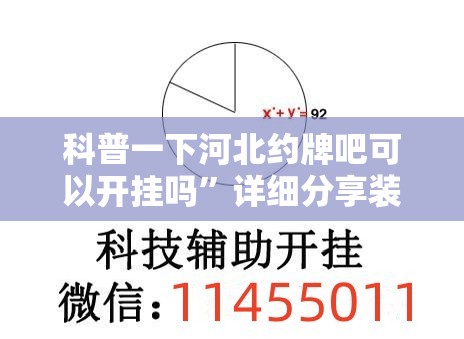 玩家辅助神器“白金岛跑得快有没有挂!最新火爆必备系统