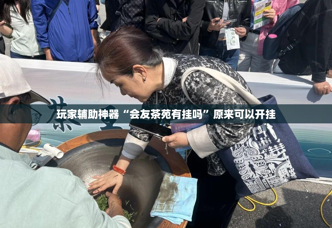 玩家辅助神器“会友茶苑有挂吗”原来可以开挂
