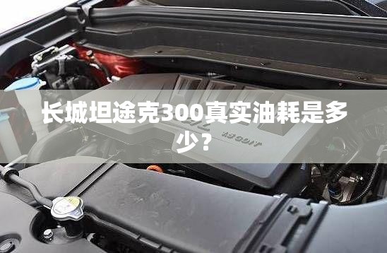 长城坦途克300真实油耗是多少？