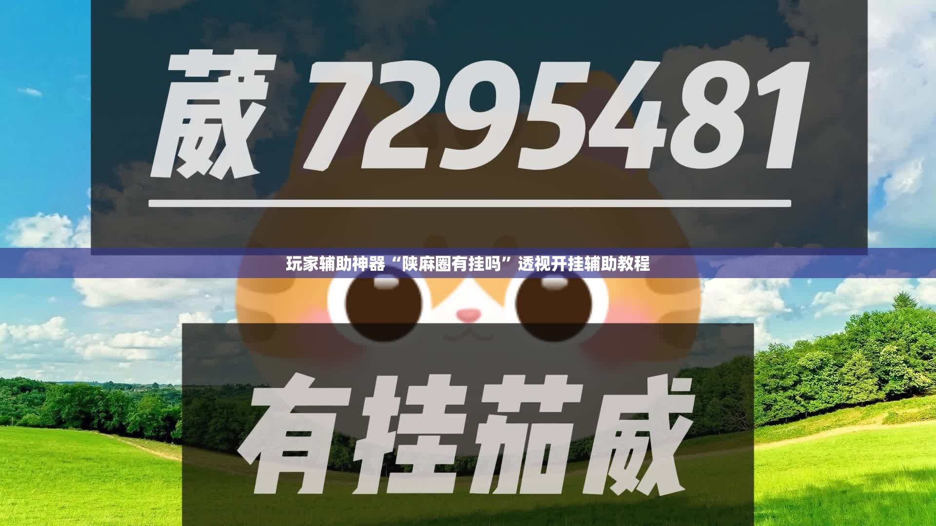 辅助最新信息“嘻游联盟辅助软件”原来有挂 难怪会一直输