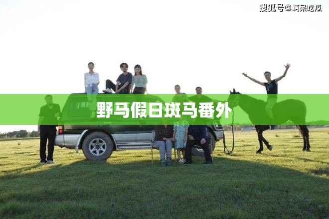 【大众suv230车型及报价/大众suv230tsi多少钱】