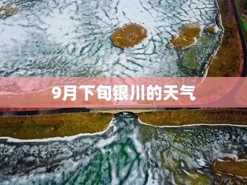 玩家辅助神器:广西八一字牌辅助神器”最新辅助详细教程