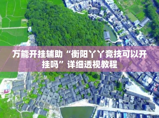 万能开挂辅助“衡阳丫丫竞技可以开挂吗”详细透视教程