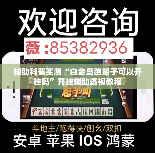 辅助科普实测“白金岛跑胡子可以开挂吗”开挂辅助透视教程