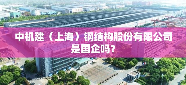 中机建（上海）钢结构股份有限公司是国企吗？