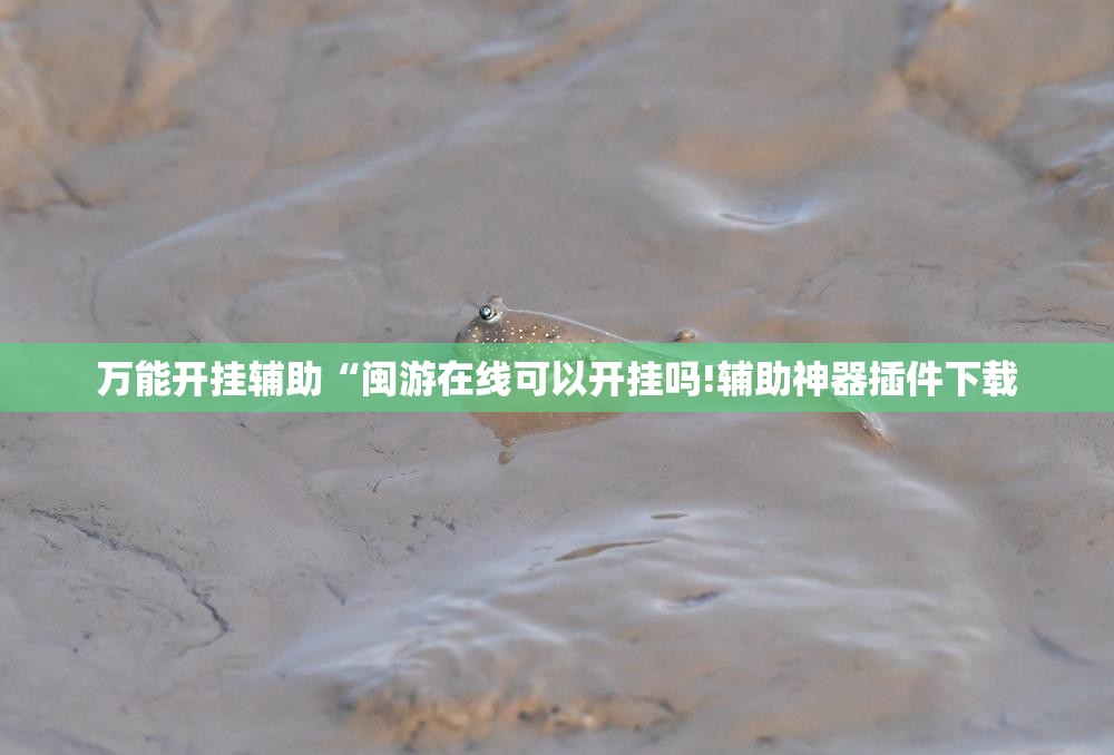 万能开挂辅助“闽游在线可以开挂吗!辅助神器插件下载