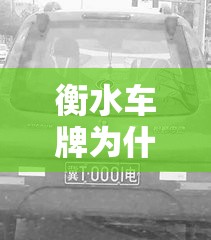 玩家辅助神器:福建兄弟十三水有挂卖吗是真的吗”原来有挂 难怪会一直输