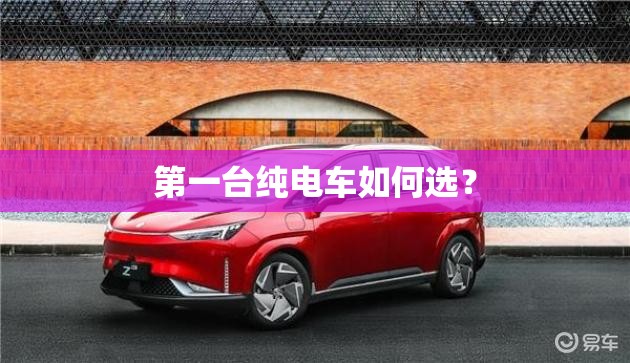 第一台纯电车如何选? 第一台纯电车如何选?