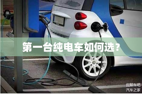 第一台纯电车如何选? 第一台纯电车如何选?