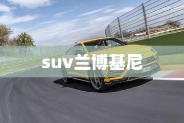玩家必备攻略!白金岛跑得快有没有挂”【透视软件教程分享】