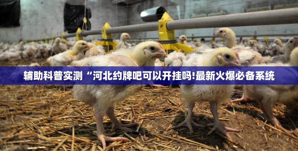 玩家必备攻略!白金岛跑得快有没有挂”【透视软件教程分享】