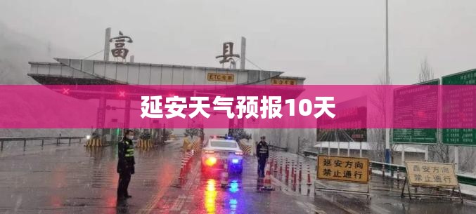 万能开挂辅助“顺欣茶坊万能开挂神器”开挂(透视)辅助教程