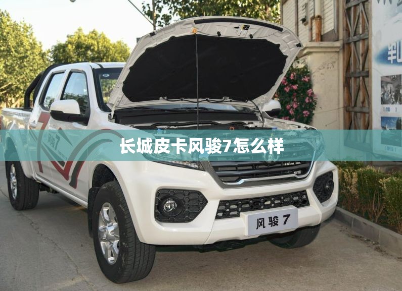 长城皮卡风骏7怎么样