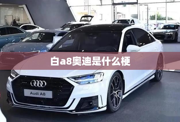 白a8奥迪是什么梗 白a8奥迪是什么梗