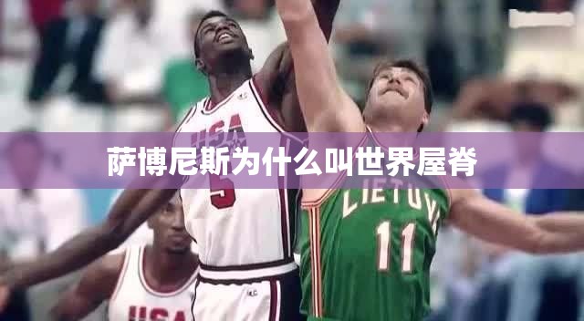 萨博尼斯为什么叫世界屋脊 萨博尼斯为什么叫世界屋脊