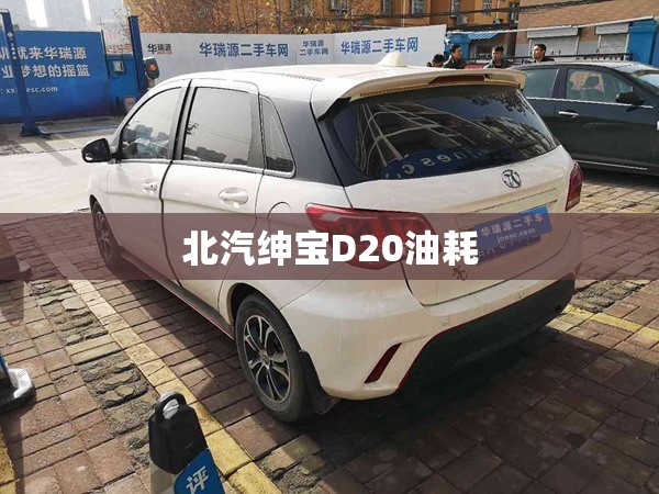 严为民：中国股市正在演绎一个你我都没