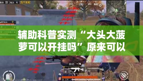 辅助科普实测“大头大菠萝可以开挂吗”原来可以开挂