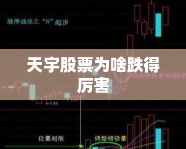 天宇股票为啥跌得厉害